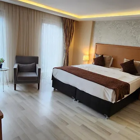 ホテル Galataportwawhotel 3*